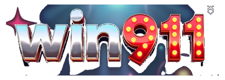 win911 logo